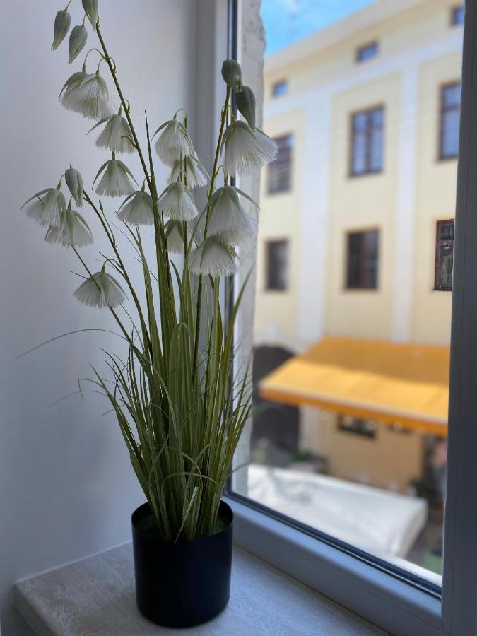 Homelike Apartment Liov Exterior foto